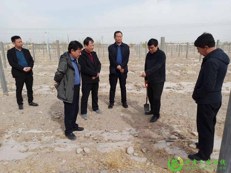 酒泉市全力推进“我帮农民建良田”实践活动