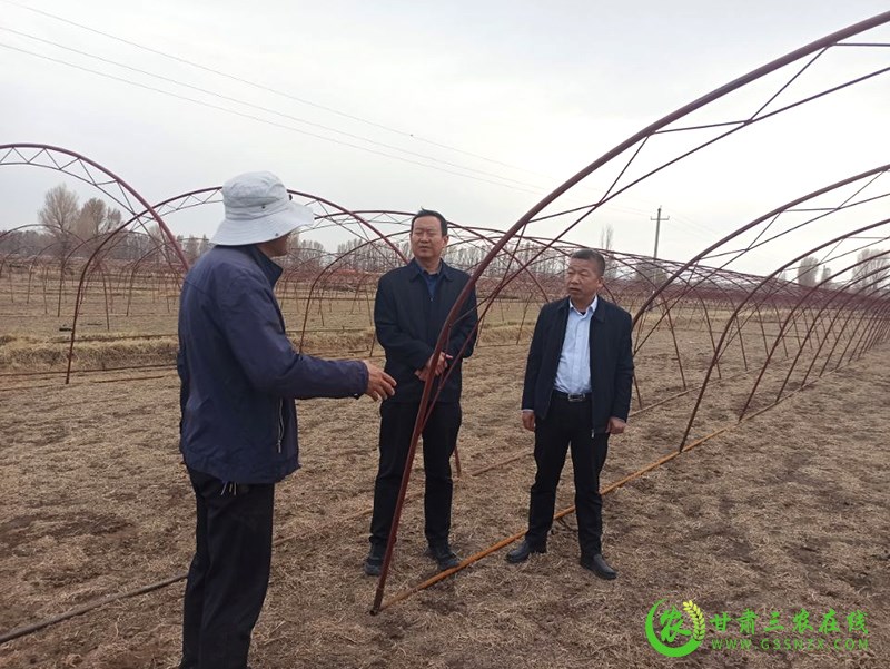 酒泉市全力推进“我帮农民建良田”实践活动