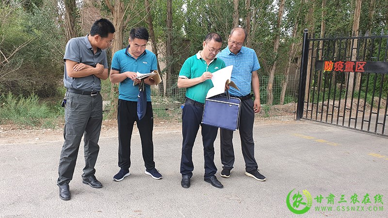敦煌市多措并举狠抓夏季畜牧业安全生产