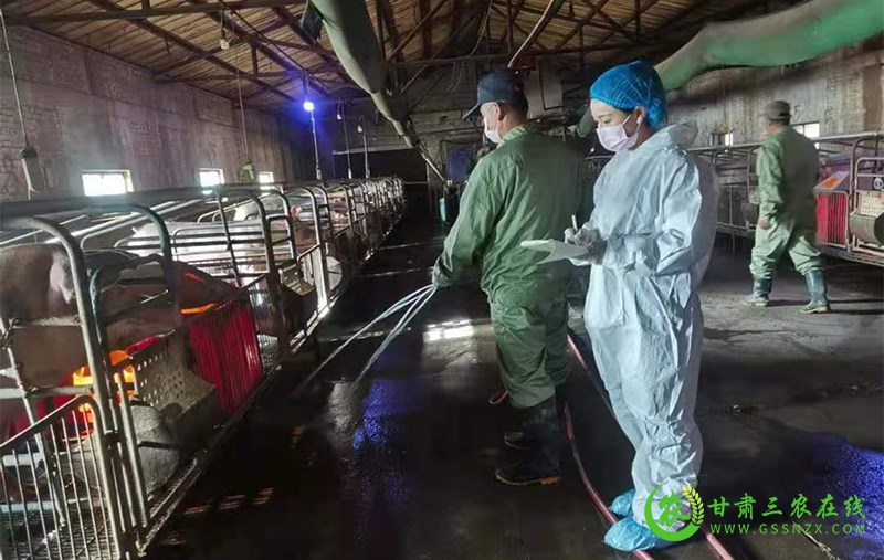 敦煌市多措并举狠抓夏季畜牧业安全生产