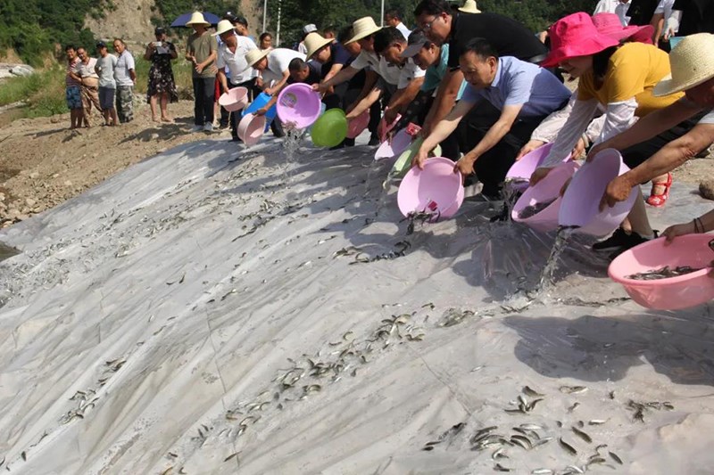 陇南市水生生物资源增殖放流活动在两当嘉陵江畔举行