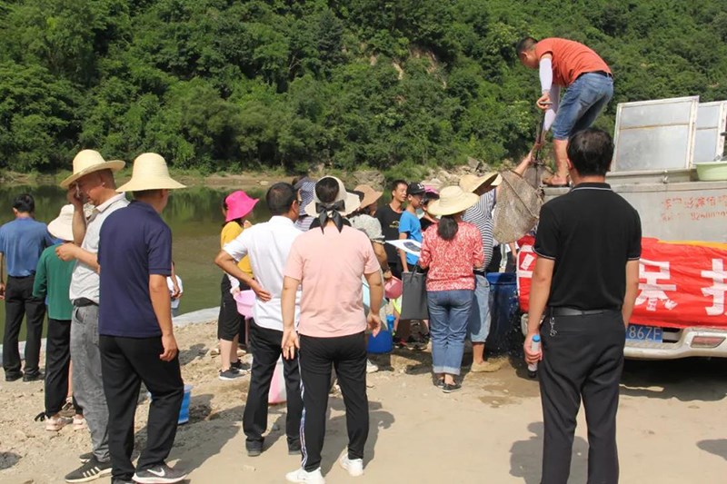 陇南市水生生物资源增殖放流活动在两当嘉陵江畔举行