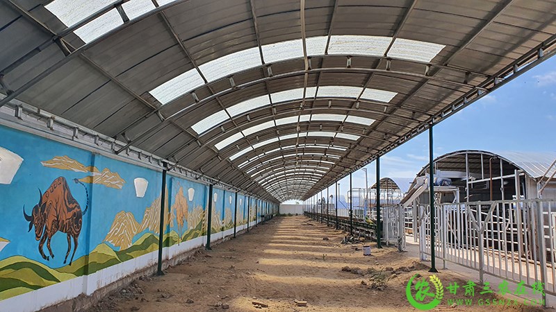 敦煌市开展现代畜牧业标准化规模养殖建设项目自验工作