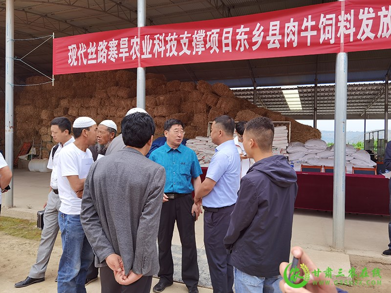 省畜牧总站发饲料送技术 助力东乡广河牛产业发展