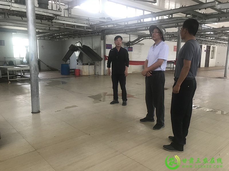 敦煌市增强生产安全意识 保障牲畜屠宰安全