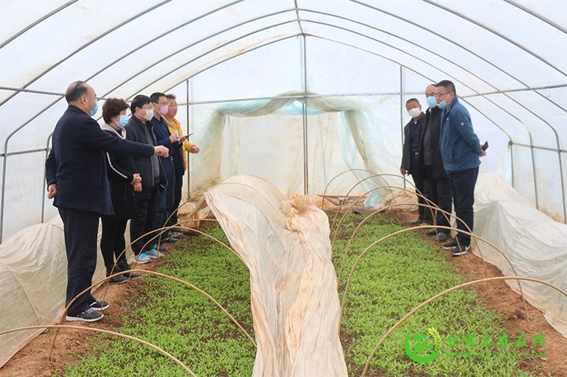 徽县不断探索化肥减量增效集成技术带动全县化肥用量实现负增长