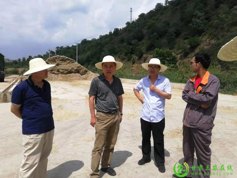 省畜牧兽医局对庆阳市粮改饲项目暨农牧民补奖政策落实开展调研督导行动