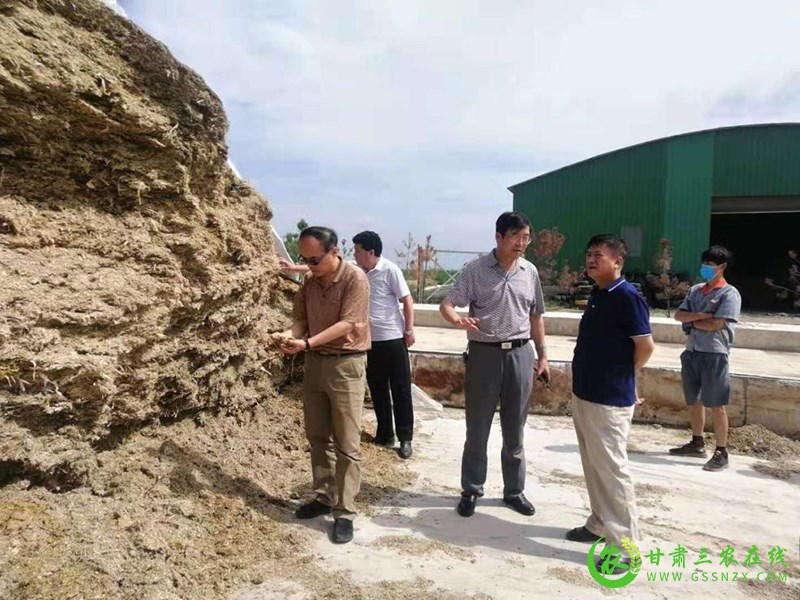 省畜牧兽医局对庆阳市粮改饲项目暨农牧民补奖政策落实开展调研督导行动