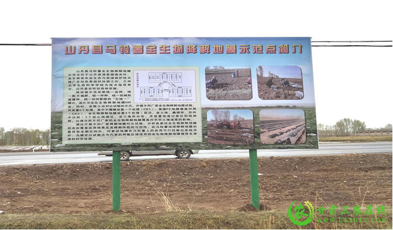 山丹县农业农村局重点工作现场观摩推进会——经作中心全生物可降解地膜试验示范篇