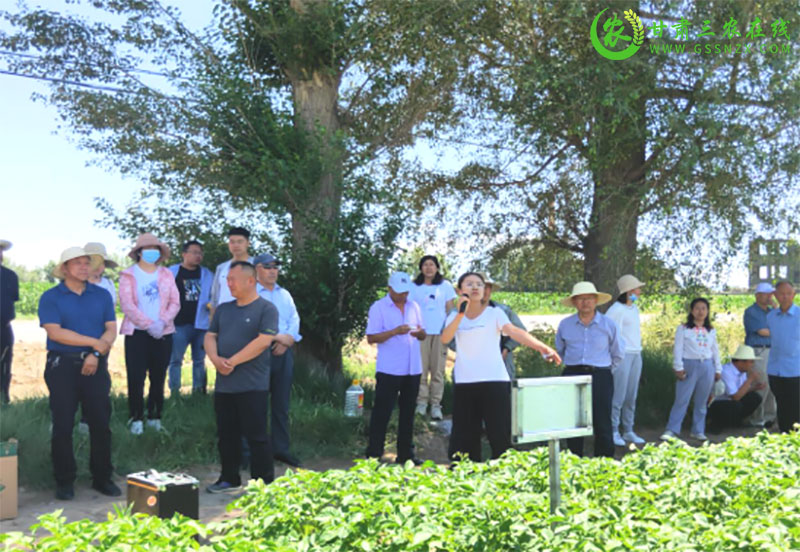 山丹县农业农村局重点工作现场观摩推进会——经作中心全生物可降解地膜试验示范篇