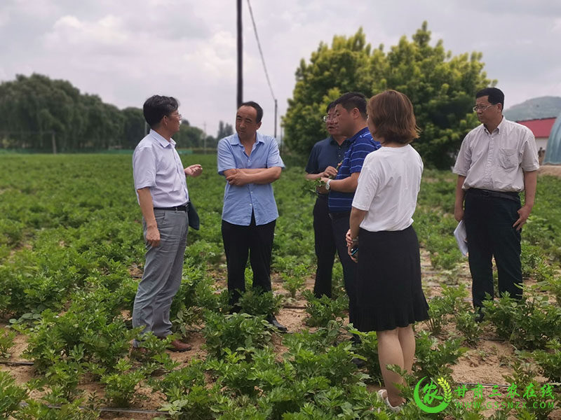 省绿色食品办公室调研督导组赴崇信县调研“三品一标”工作开展情况