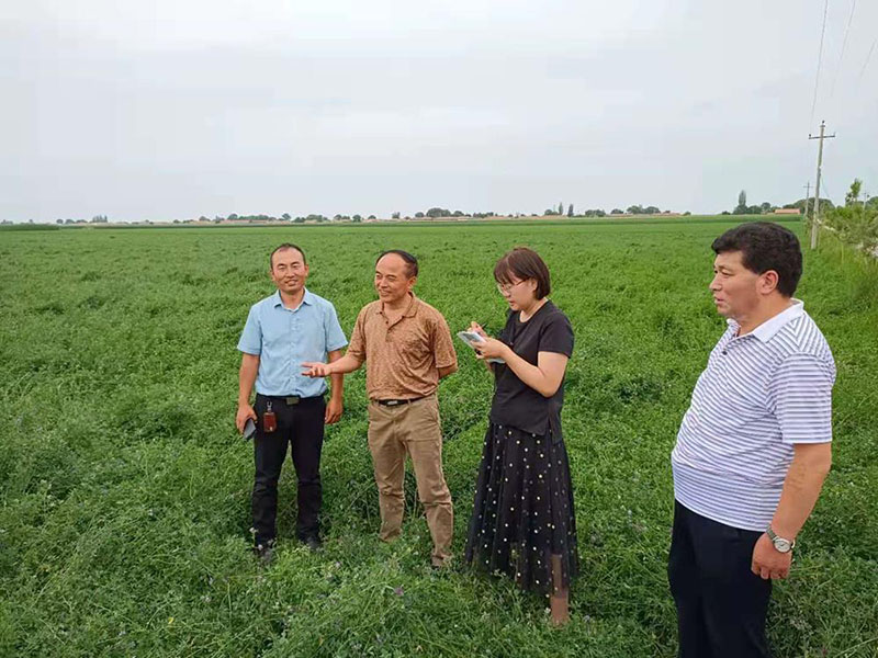 省畜牧兽医局调研庆阳市粮改饲项目实施及草原奖补落实工作