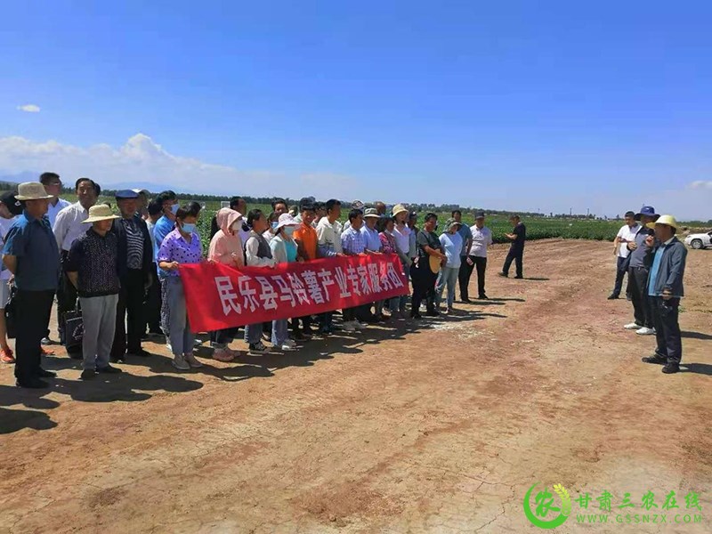 民乐县召开水肥一体化现场观摩培训会