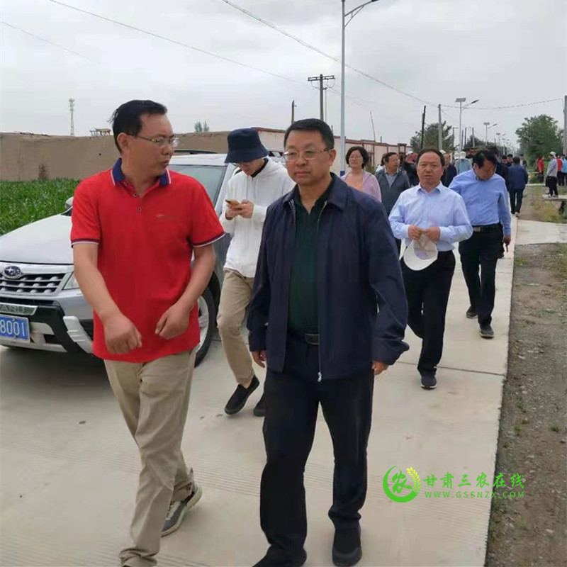 谷丰源农业专业化社会化服务协同创新基地科技小院在张掖揭牌