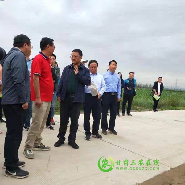 谷丰源农业专业化社会化服务协同创新基地科技小院在张掖揭牌