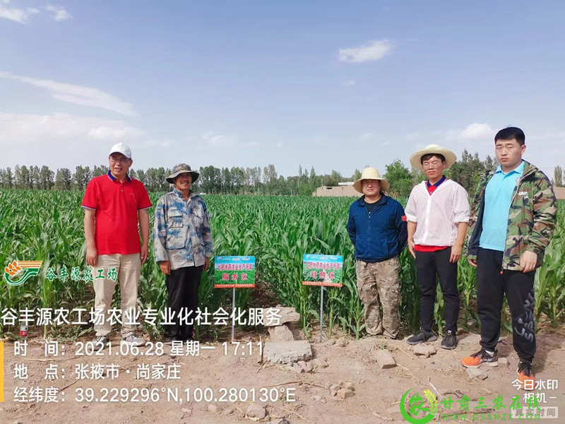 谷丰源农业专业化社会化服务协同创新基地科技小院在张掖揭牌