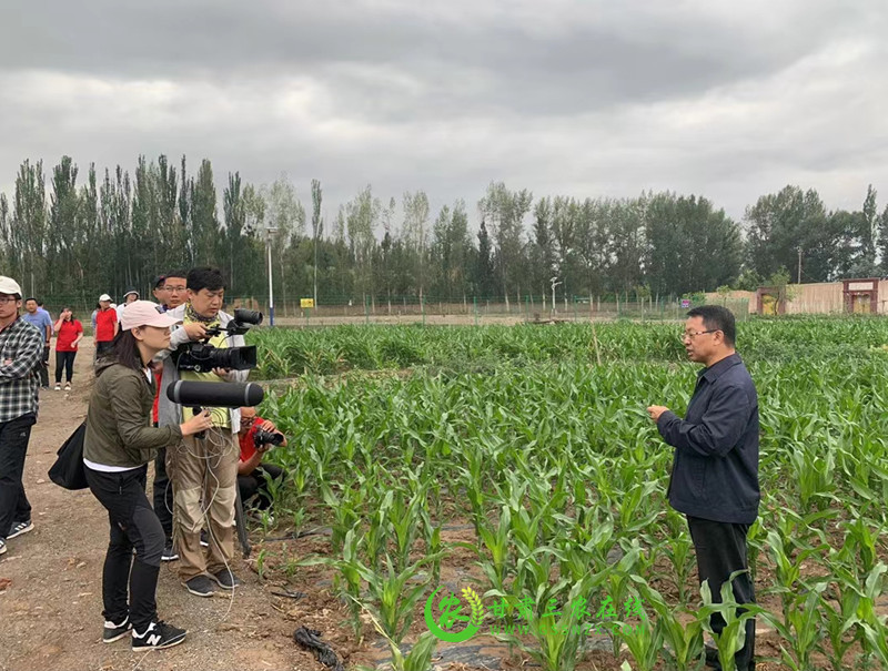 谷丰源农业专业化社会化服务协同创新基地科技小院在张掖揭牌