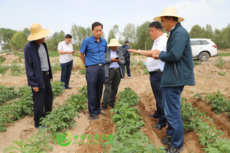 省耕保总站站长崔增团一行赴星硕生物科技公司托管基地调研