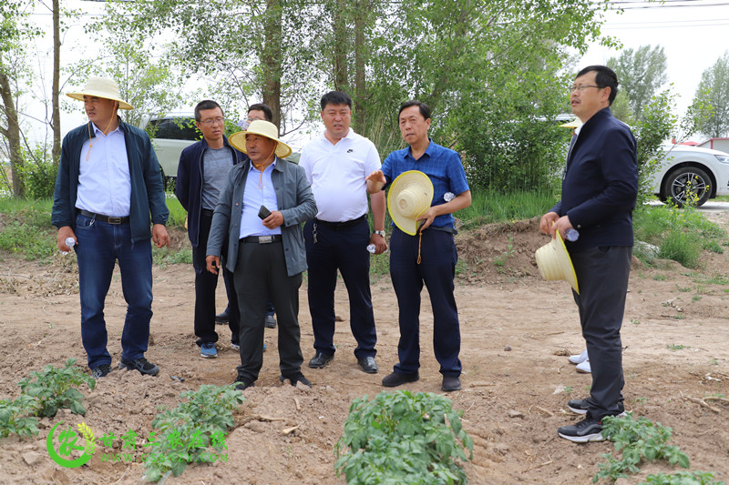 省耕保总站站长崔增团一行赴星硕生物科技公司托管基地调研