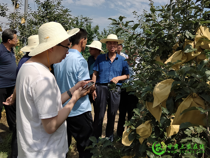 省耕保总站站长崔增团一行调研宁县绿色种养循环农业及旱作节水试点工作