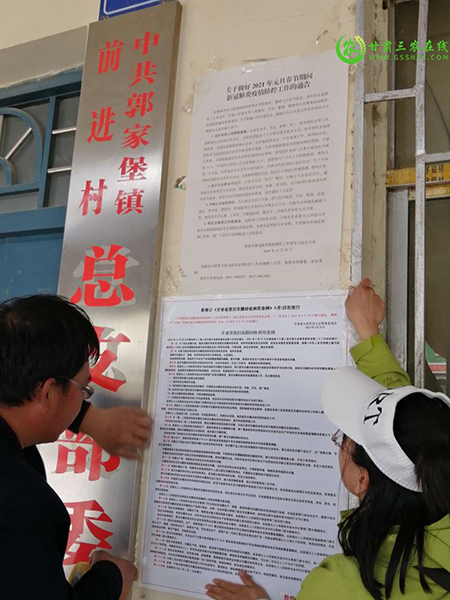 敦煌：多举并措加大废旧农膜回收力度，减少“白色污染”