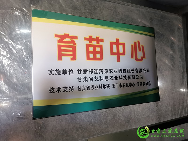 甘肃三农在线采访组深入玉门市采访农技推广工作