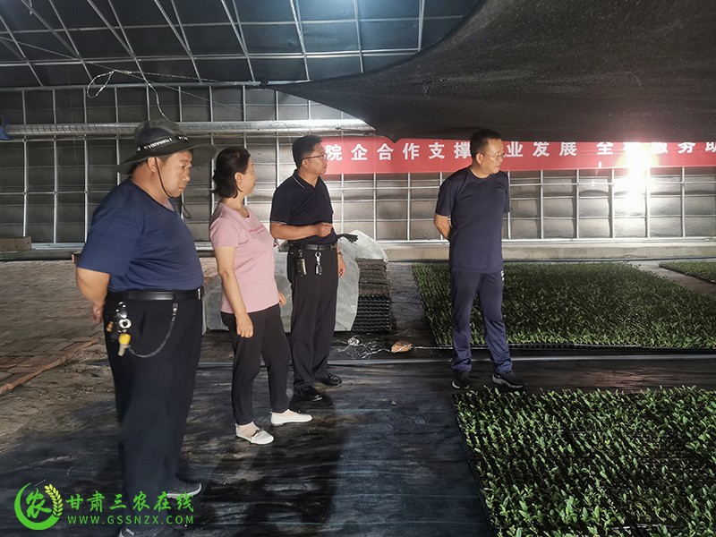 甘肃三农在线采访组深入玉门市采访农技推广工作