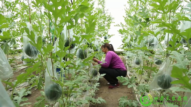 瓜州：壮大产业链助推高质量发展