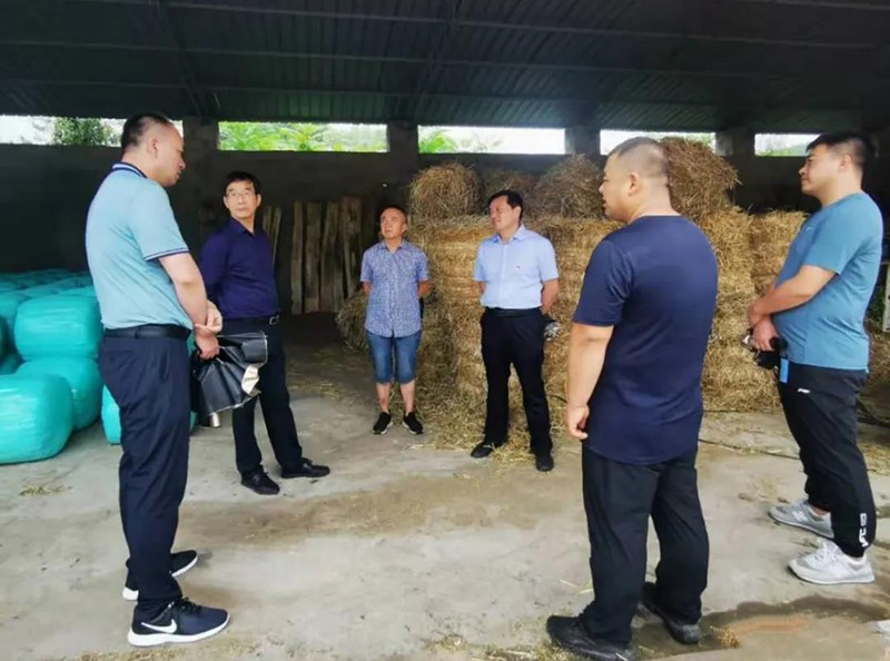 省农业农村厅工作组一行深入徽县开展农作物秸秆资源台账核验和农作物秸秆综合利用试点项目指导工作