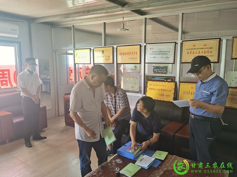省绿色食品办公室验收组到临泽检查绿色农产品（蔬菜）标准化基地建设工作