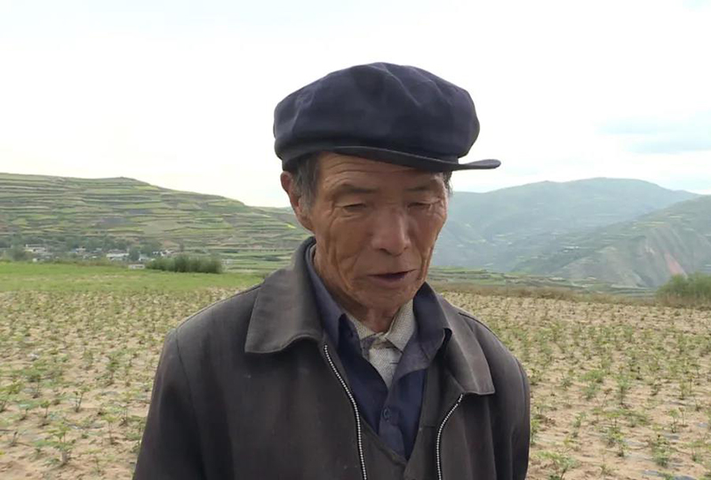 岷县：田间地头送技术 群众收获致富经