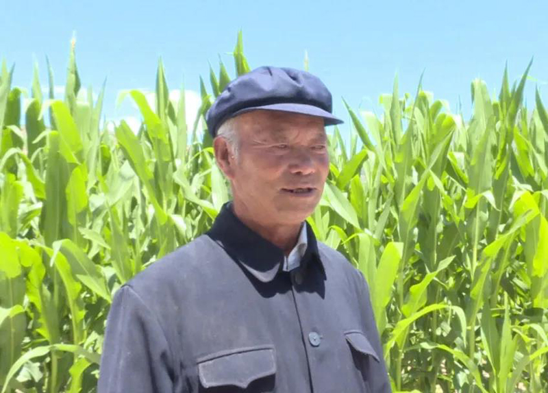 岷县：田间地头送技术 群众收获致富经
