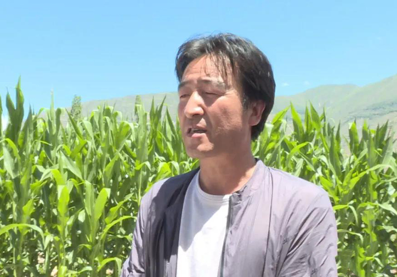岷县：田间地头送技术 群众收获致富经
