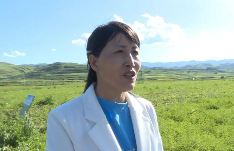 岷县：田间地头送技术 群众收获致富经