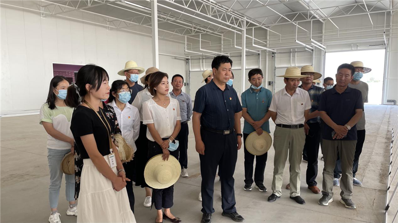 参观学习拓思路 交流借鉴促提升——天祝县农业农村系统开展农业农村示范点观摩活动