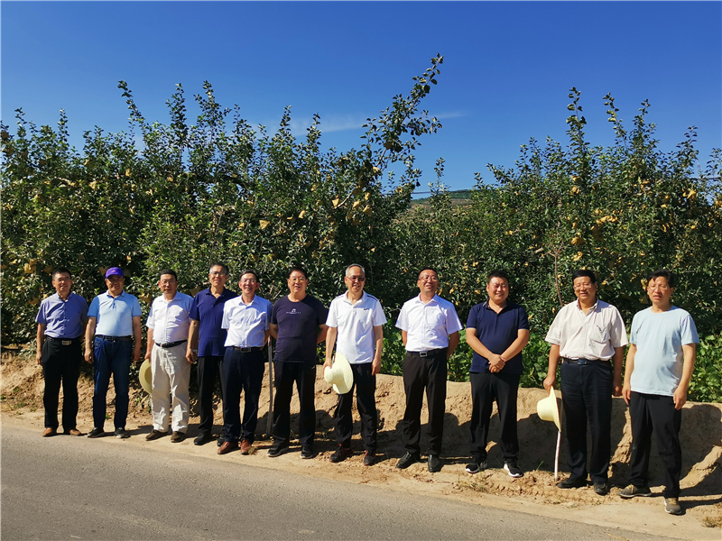 静宁苹果顺利通过省级地理标志农产品登记现场核查和品质鉴评