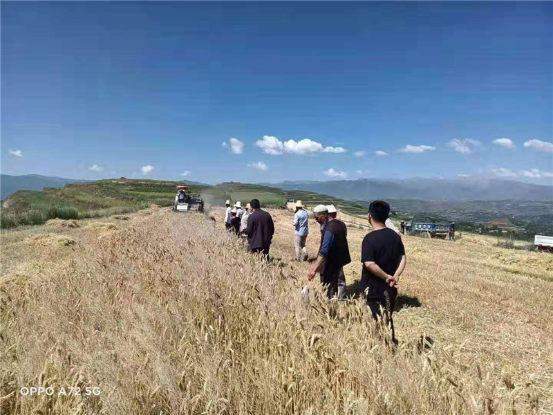临夏市农机中心小麦全程机械化操作技术  培训演示工作掀起热潮