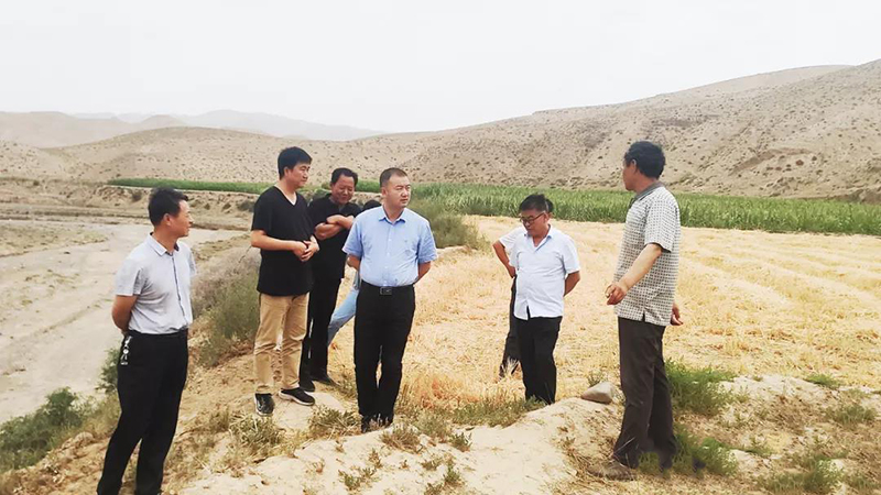 省农业农村厅工作组赴靖远调研农业生产和旱情影响