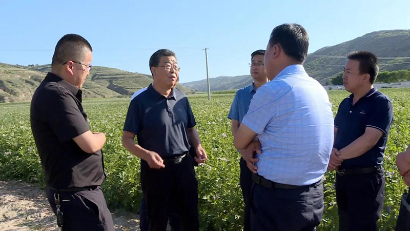 安定区：多措并举全力抗旱保增收