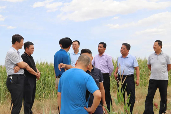 省农业农村厅工作组到靖远县调研指导抗旱救灾工作