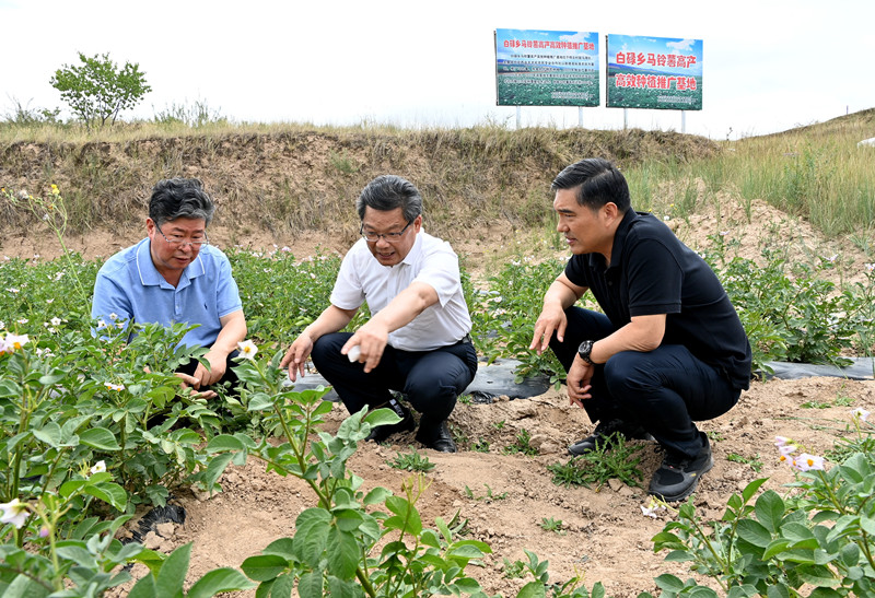 省农业农村厅全力投入做好抗旱减灾保秋粮丰收工作