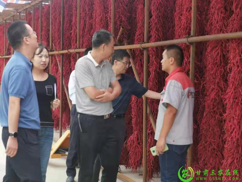 省农业农村厅​调研组赴甘谷调研“甘味”农产品品牌建设工作