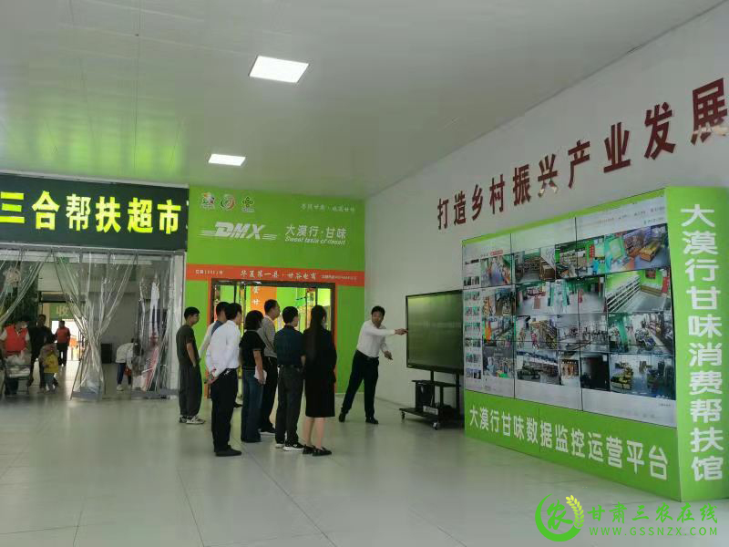 省农业农村厅​调研组赴甘谷调研“甘味”农产品品牌建设工作