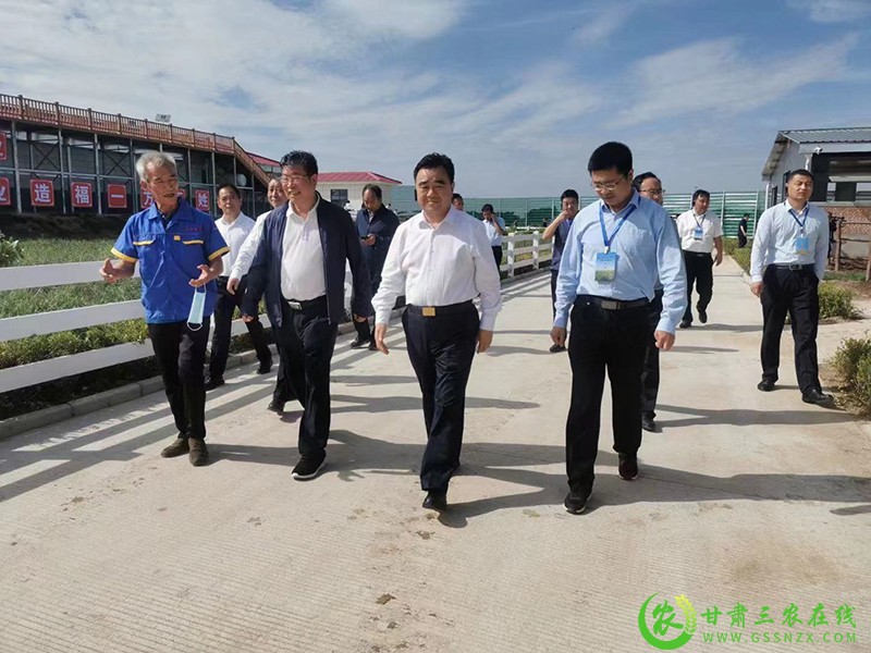 庆阳市全力推动三年倍增行动计划落地见效 加快推进农业农村现代化