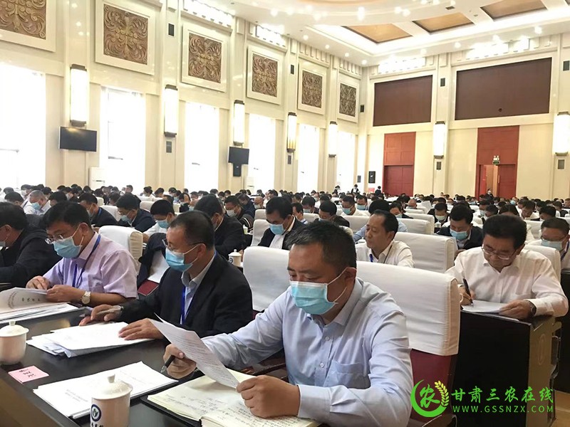 庆阳市全力推动三年倍增行动计划落地见效 加快推进农业农村现代化