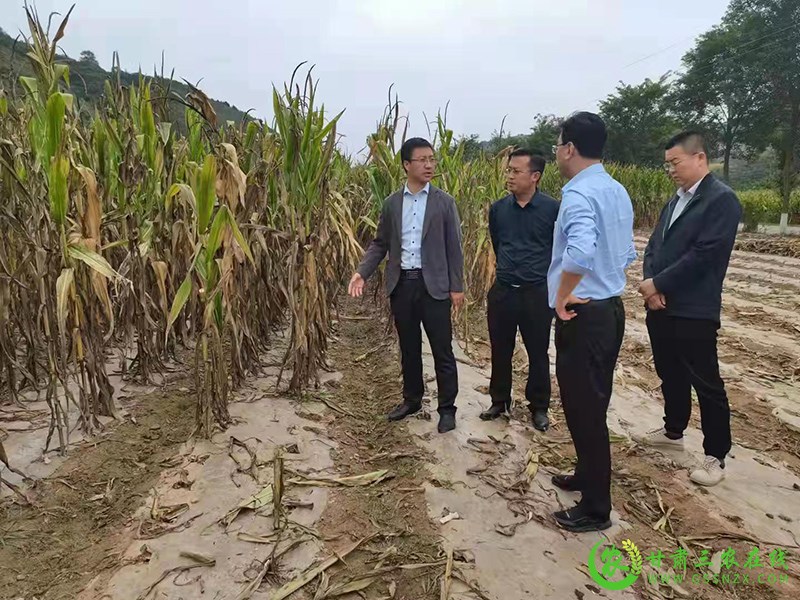 省农业金融保险工作总站调研指导华池合水两县旱灾理赔工作