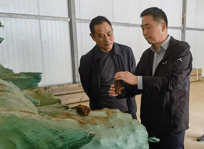 省农业农村厅副厅长蔚俊在礼县桥头镇调研指导产业发展和驻村帮扶工作