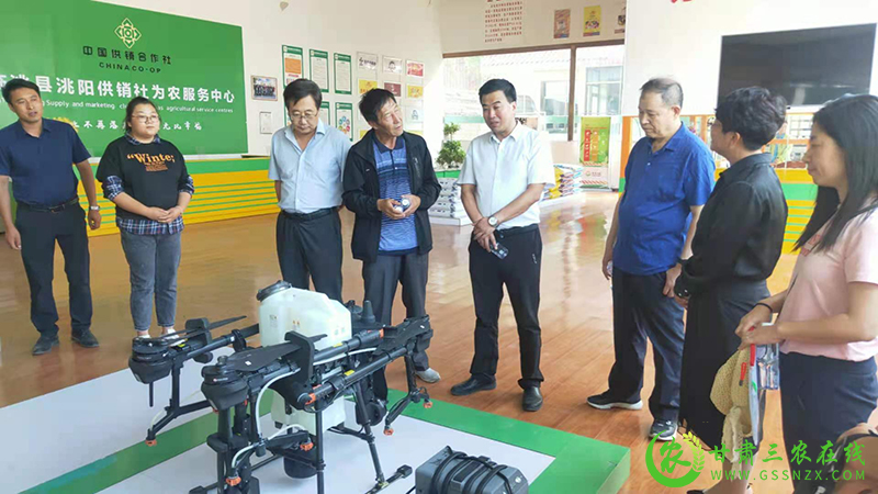 省植保植检站调研临洮为植保工作“谋新局”