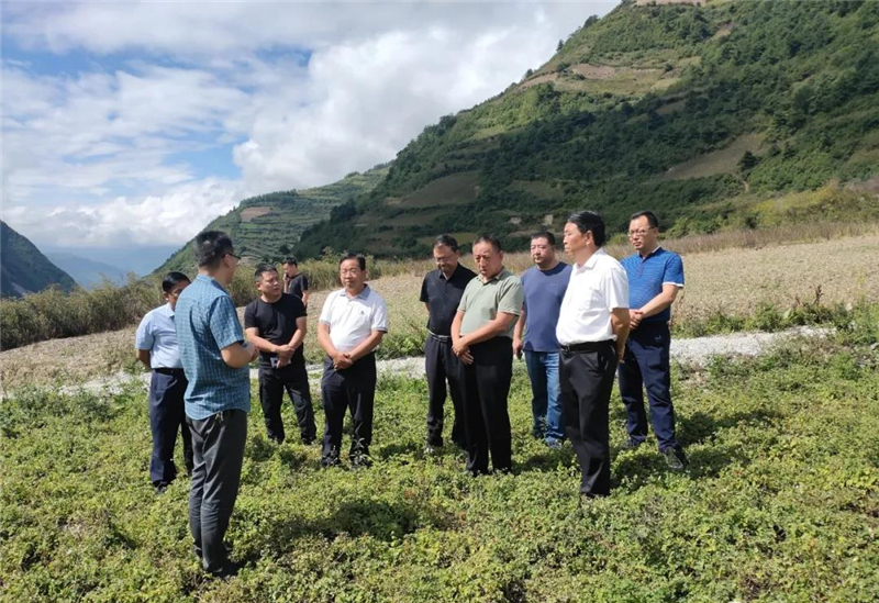 省农业农村厅调研组到文县检查指导中药材产业和农业机械化工作
