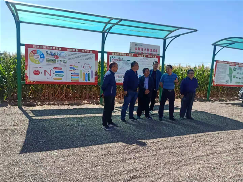 山丹县农技中心：院技合作拓宽马铃薯品种资源促进马铃薯产业发展